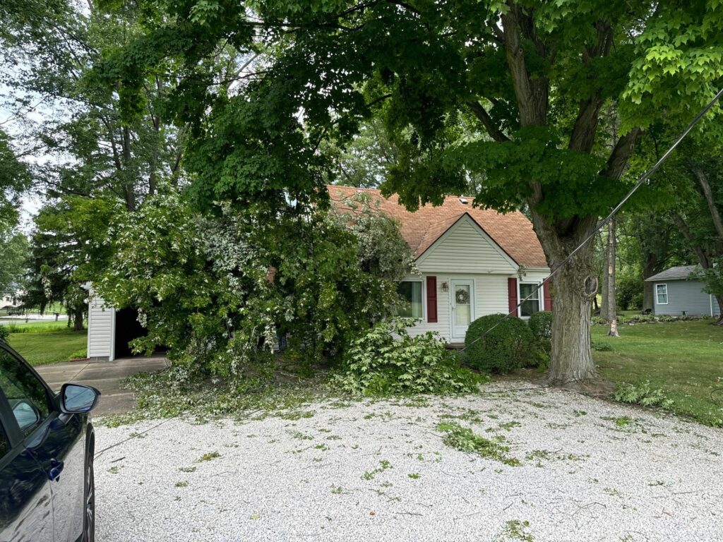 Tree damage storm repair